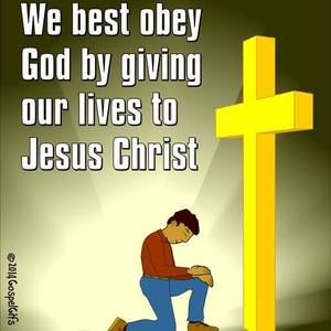 Meet your Posher, Otis